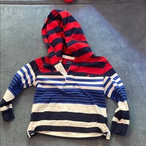 Polo by Ralph Lauren Red and Blue Striped Hoodie